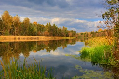 güzel sonbahar manzarası