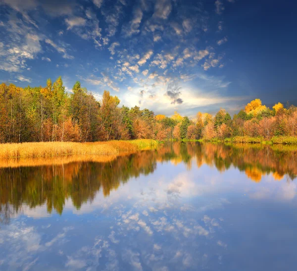 Autumn scene on lake — Stock Photo, Image
