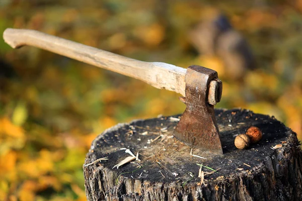 Axe in log — Stock Photo, Image