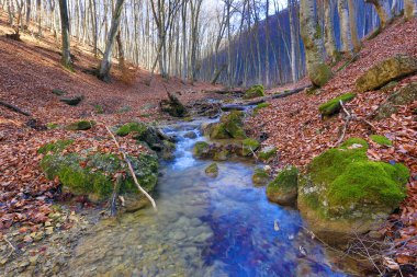 koeningshtine kale eski kule