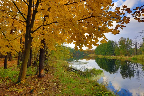 Jesienią sceny na rzece — Zdjęcie stockowe