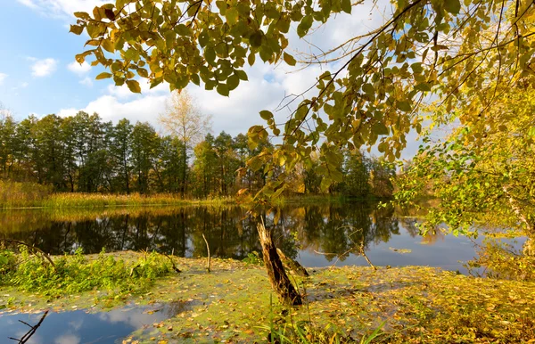 Autumn day on lake — Stock Photo, Image