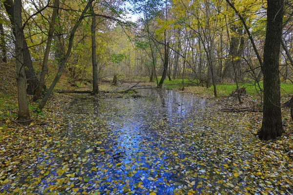 Herbst im Park — Stockfoto