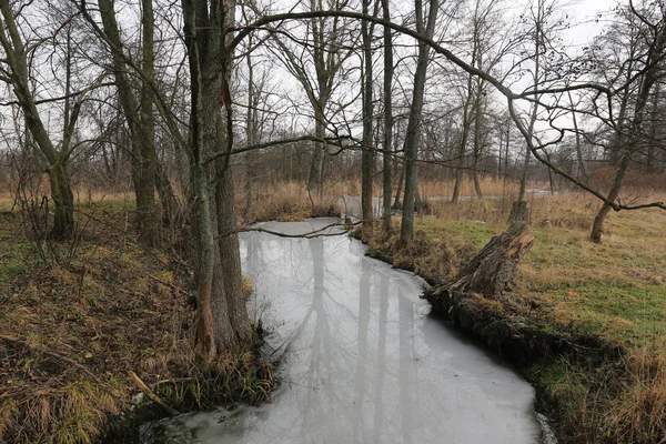 Fozen river i skogen — Stockfoto