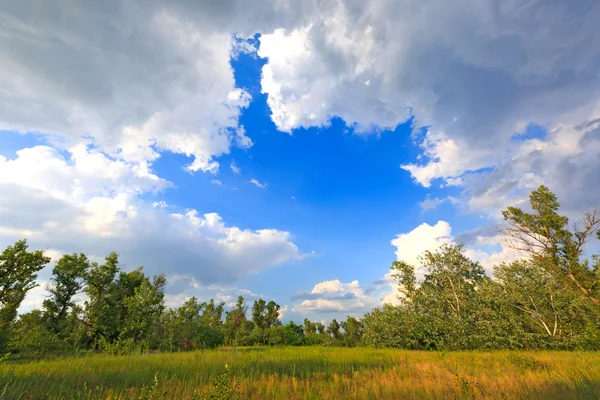 Sommar i stäppen — Stockfoto