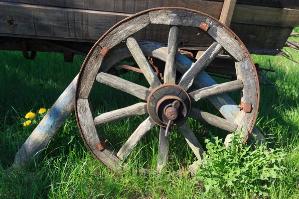 Hölzerne Hölzer — Stockfoto