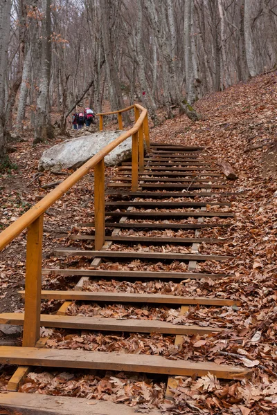 Stairs in autumn forest — Stock Photo, Image