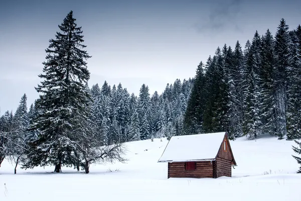 Wooden house in forest at winter time — Stock Photo, Image