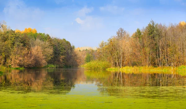 Autimn na bog — Zdjęcie stockowe