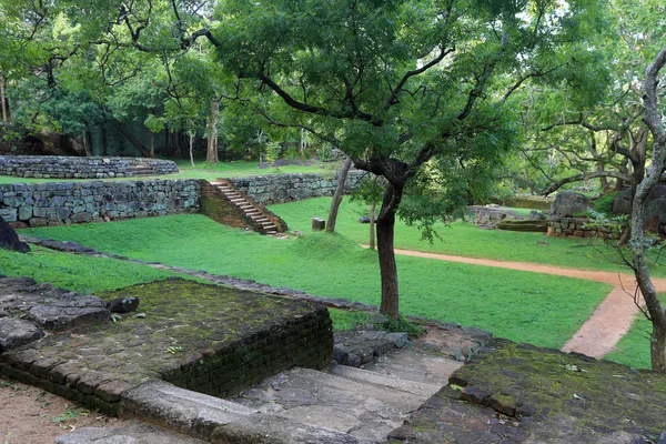 Garten in sirigiya — Stockfoto