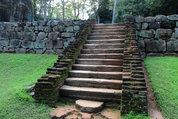 Viejas escaleras en la selva —  Fotos de Stock