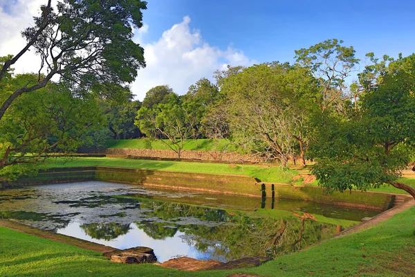 Древний бассейн в джунглях — стоковое фото