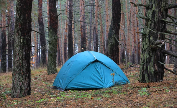 Turistens tält i skogen — Stockfoto