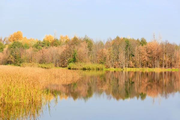 Scena jesień nad jeziorem — Zdjęcie stockowe