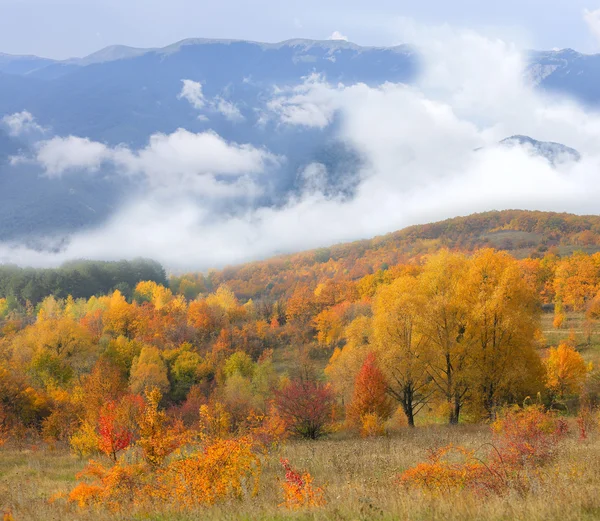 Herbst in den Bergen — Stockfoto