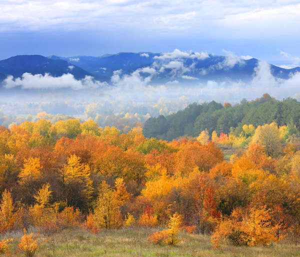 Scène d'automne avec montagnes en arrière-plan — Photo