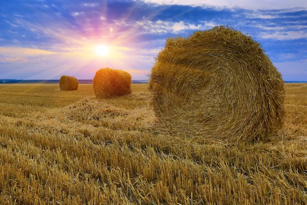 Hay-roll on meadow — Stock Photo, Image