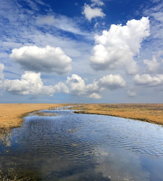 Lake in spring steppe — Stock Photo, Image