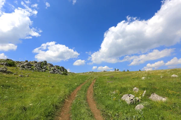 Straße auf Bergwiese — Stockfoto