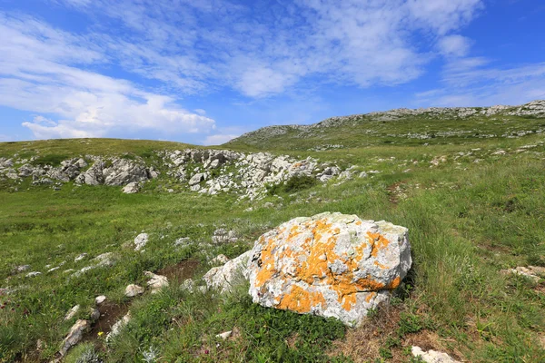 Piedra vieja en el prado de montaña —  Fotos de Stock