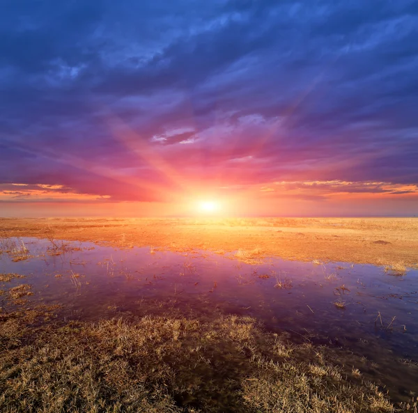 Захід сонця над весняним луком — стокове фото