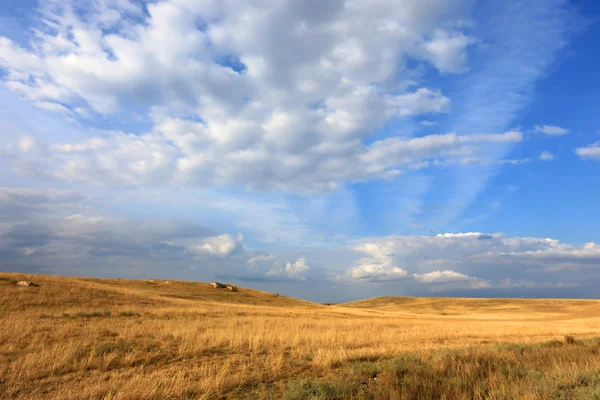 Nountains im łąka żółty — Zdjęcie stockowe