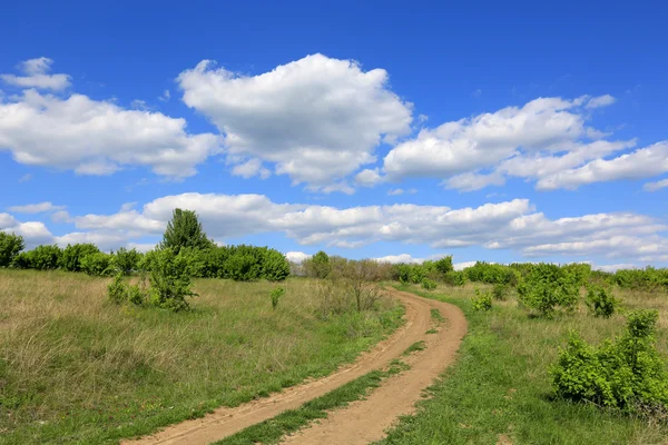 Rut road i stäppen — Stockfoto