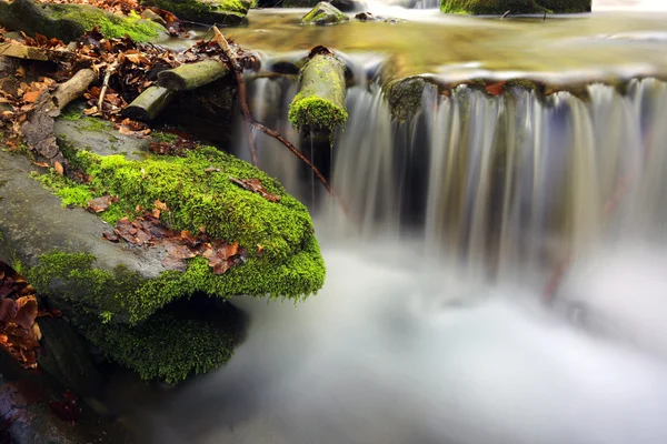 Dağ nehir koşusu — Stok fotoğraf