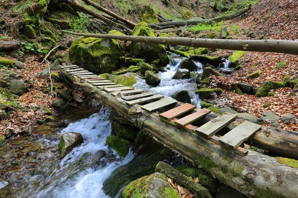 Puente de madera sobre el arroyo de montaña — Foto de Stock