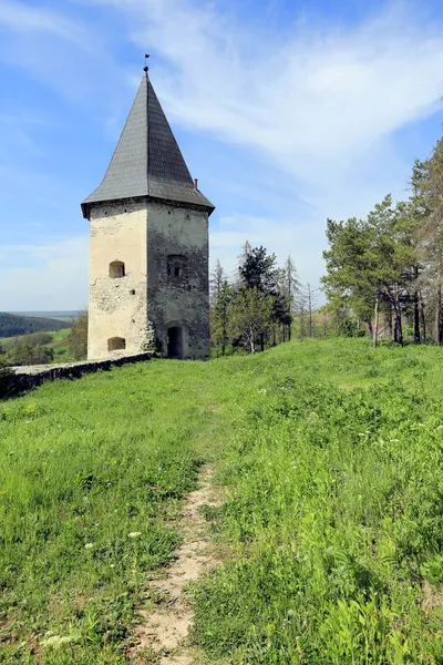 Régi erőd erdőben, szép napot: — Stock Fotó