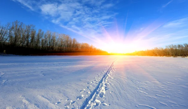 Sendero sobre nieve — Foto de Stock