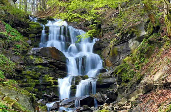 Pěkný shipot vodopád v Karpatských horách — Stock fotografie