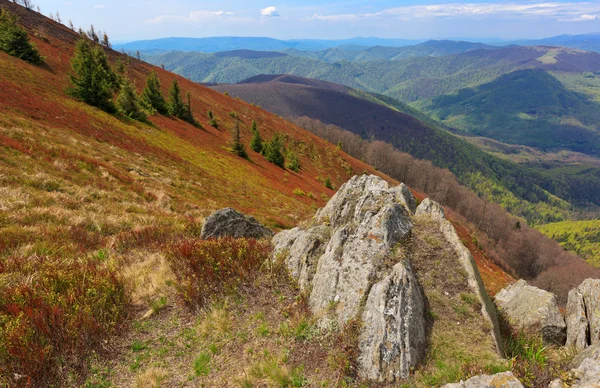 Alte Steine in den Karpaten — Stockfoto