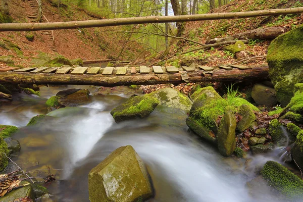 Puente de madera sobre arroyo — Foto de Stock