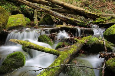 Yeşil taşlar arasında dağ dere