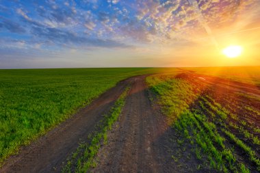 rut yolda günbatımı üzerinde yeşil alan