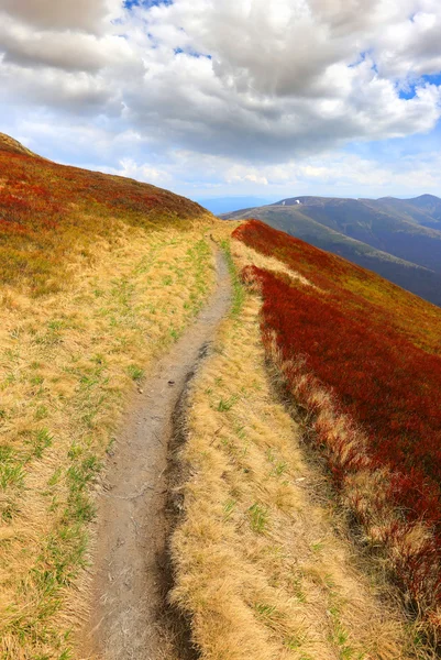 Caminho entre prado agradável em montanhas — Fotografia de Stock