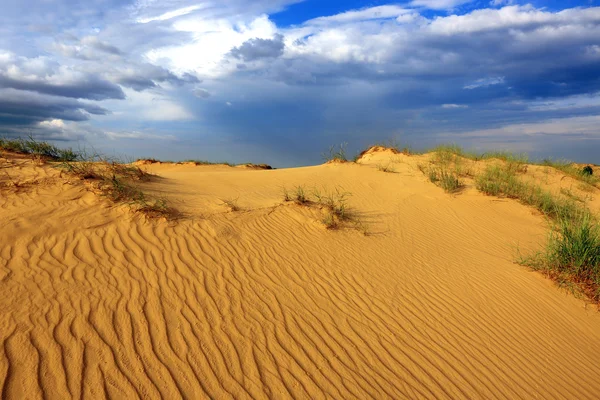 Sands in woestijn — Stockfoto