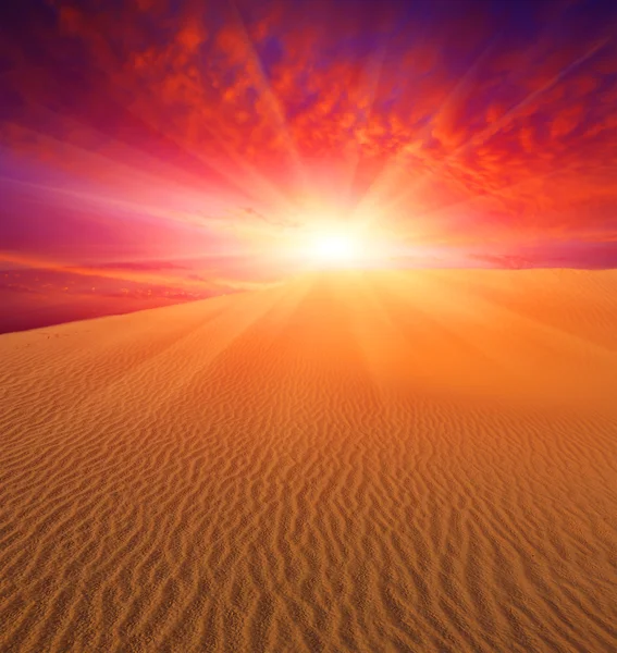 Sunset over dunes — Stock Photo, Image