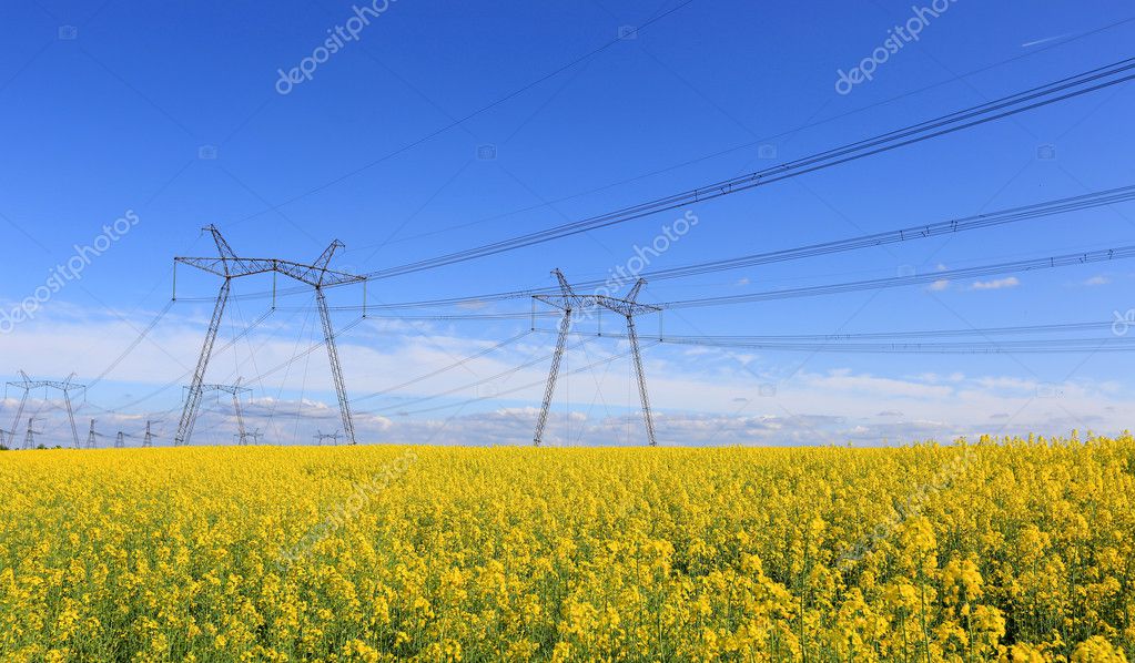 Height voltage power line — Stock Photo © pklimenko 47885279