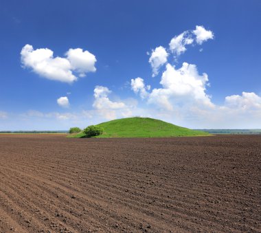 Tarımsal alanda yeşil tepe 