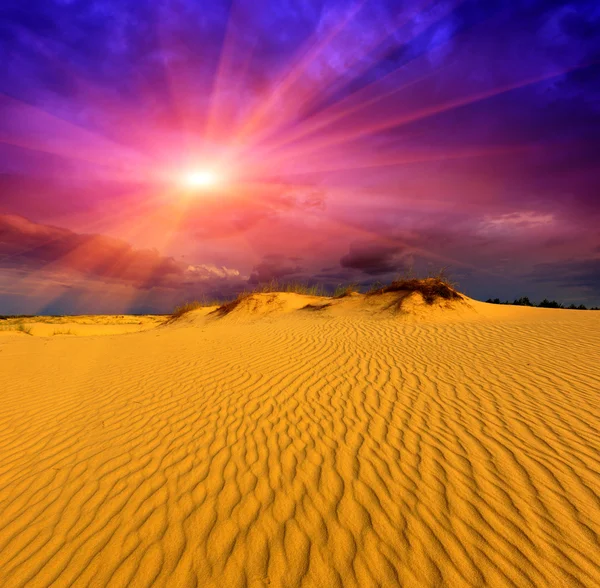 Sunshine over sund in desert — Stock Photo, Image