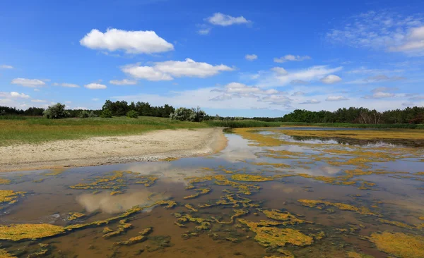 Sommar scen på sjön — Stockfoto