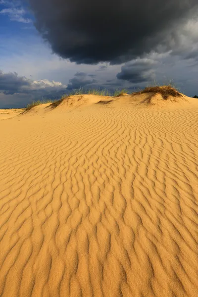 在黑暗的天空下沙漠的沙丘在沙地上 — 图库照片