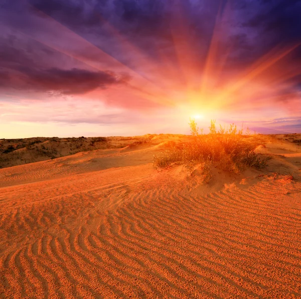Sunset in sands — Stock Photo, Image
