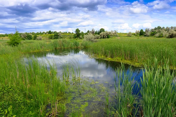 Kleiner See — Stockfoto