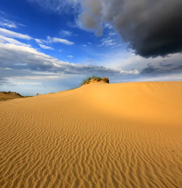 Duinen in zandwoestijn onder thunder hemel — Stockfoto