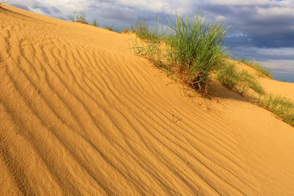 На песках — стоковое фото