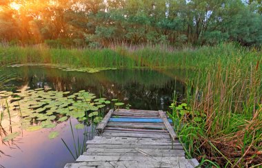 ahşap köprü Nehri üzerinde