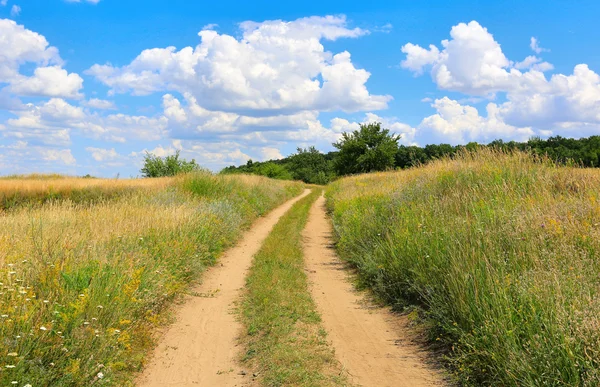 Pathway in steppe — Stock Photo, Image